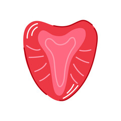 Red strawberry slice in flat style isolated on white background. Ideal for food design packaging, healthy eating or summer decoration.