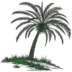 Lone palm tree tropical island paradise illustration