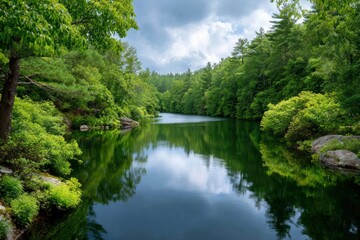 Fototapeta premium A calm river reflects dense trees under a cloudy sky
