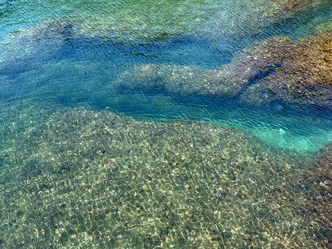 Clear sea with underwater algae.