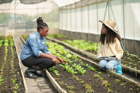 African female with pointing at young vegetable plants in greenhouse while teaching little black girl wearing straw hat while listening and using digital tablet, educational farming concept.