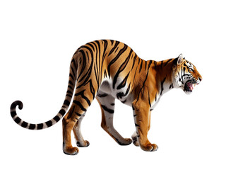 Obraz premium Majestic bengal tiger roaring isolated on transparent background