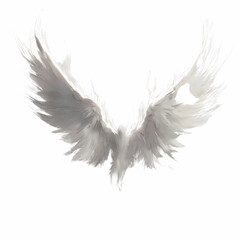 Fototapeta premium Abstract White Wings on Grey Transparent background - Flight, Freedom, and Spirituality Concept