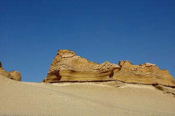 The Whale Desert, also known as Wadi Al Hitan, Egypt