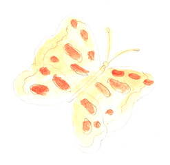 Yellow butterfly, insect. Watercolor illustration, hand drawn modern freehand new