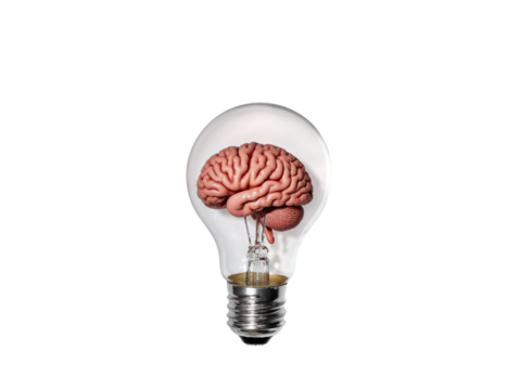 Human brain inside light bulb isolated on transparent background