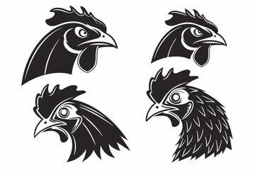 Obraz premium rooster isolated on white background