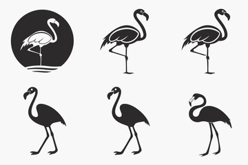 Obraz premium set of flamingos