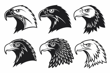 Naklejka premium set of birds