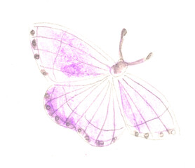 Purple butterfly, insect. Watercolor illustration, hand drawn modern freehand new