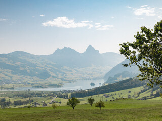 Lake Lauerzersee in Central Switzerland on a beautiful summer day