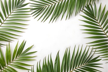 Fototapeta premium Green Palm Leaves Frame on White Background for Summer Concept