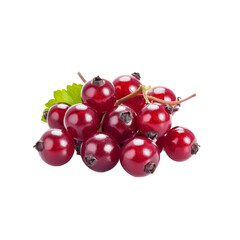 Red Currants' Charm: A close-up shot of a bunch of plump, ripe red currants. The vibrant red berries are neatly clustered, with a refreshing touch of a green leaf.
