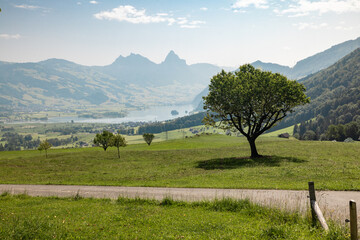 Lake Lauerzersee in Central Switzerland on a beautiful summer day