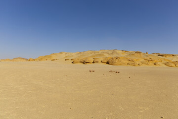 The Whale Desert, also known as Wadi Al Hitan, Egypt