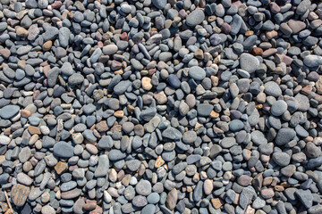 Pebbles on a beach background backdrop in various shapes, sizes and colours.
