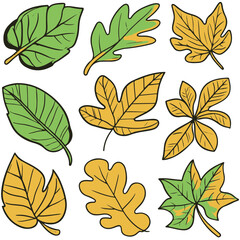 Fototapeta premium Set of spring leaves, Vector illustration