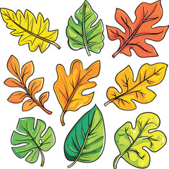 Fototapeta premium Set of spring leaves, Vector illustration