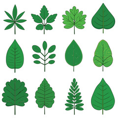 Set of spring leaves, Vector illustration