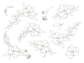 Set of Elegant floral line art bouquet composition. Hand drawn minimalist flowers and leaves in delicate style for prints, wall art, wedding invitations, greeting cards. Vector delicate illustration