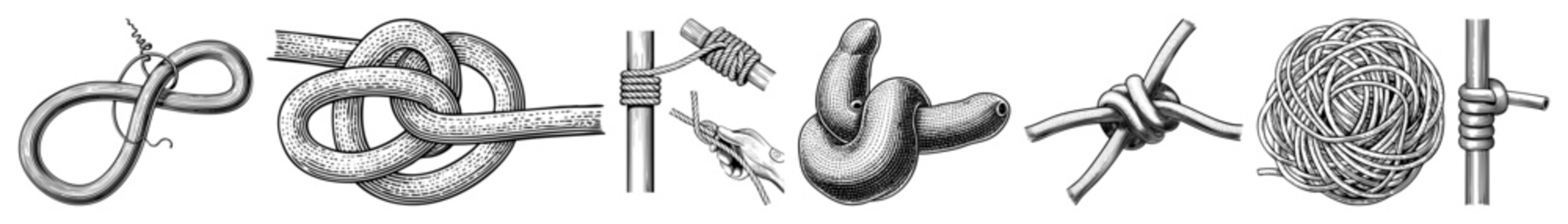 Vector Detailed illustrations of nautical rope knots and bindings.