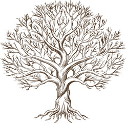 A collection of stylized illustrations depicting various trees, featuring both broadleaf and coniferous types with simple, clean lines