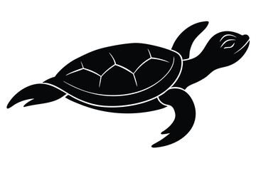 vector illustration of turtle