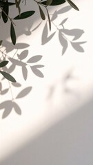 Shadows of Green Leaves Cast on a White Wall Creating a Serene and Calming Atmosphere on a Sunny Day