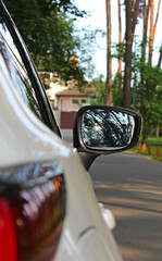 Trees reflected in a side car mirror stayed on a rural road in front of cottage 