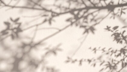 Lightly Filtered Shadows of Branches and Leaves Create an Abstract Pattern on a Neutral Background During Daylight Hours in Nature