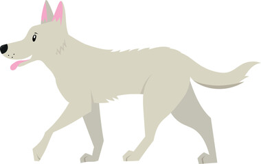 Vector illustration of cute big dog in flat style. Isolated on white. Swiss shephard. Illustration in childish style.