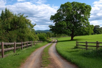 Dirt road winding through a green pasture with a large tree under a cloudy sky