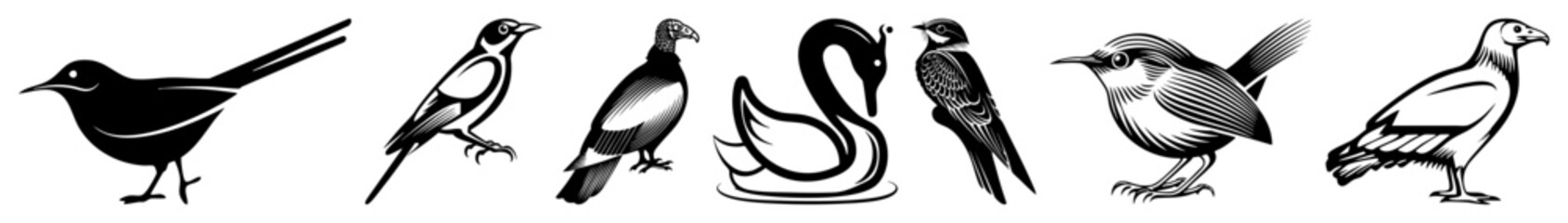 Vector Stylized bird illustrations form decorative avian typography.