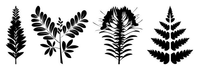 Vector Botanical illustrations showcase diverse foliage arrangements in black and white.