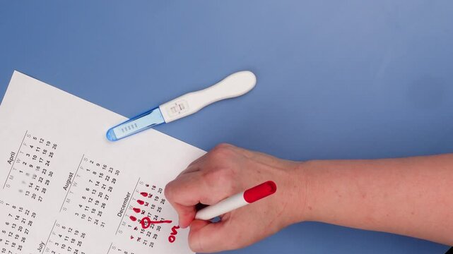 Positive pregnancy test, gynecological ultrasound image and ovulation calendar marked with menstruation and ovulation dates. Fertility tracking, family planning, maternal health, and prenatal care.