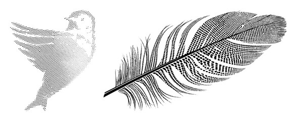 Obraz premium Vector Detailed owl and feather in dotted style.