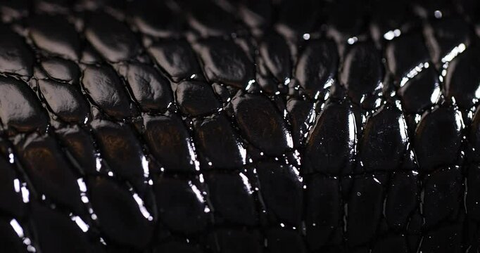 black leather imitating crocodile leather for making objects, black polished leather dyed black with embossed crocodile leather