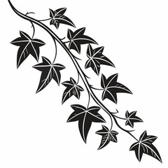 Black and white ivy branch illustration