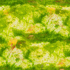 Seamless 4k photo texture material of watermelon peel.