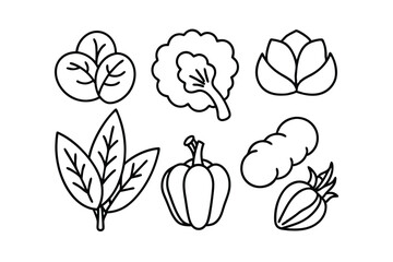 vector illustration of tulip