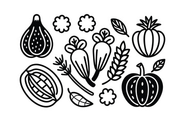 vector illustration of a set of vegetables