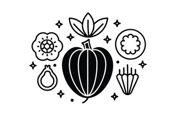 vegetables and fruits