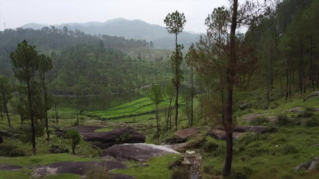 a drone footage of Petshal in the Almora district of Uttarakhand