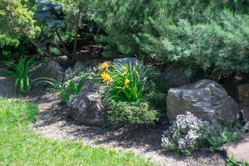 Application natural stone and yellow iris flower landscape design. Stone path in garden with bushes trees flowers. Beautiful manicured green plants in gardening. Example designers in public park.