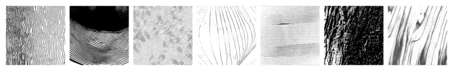 Vector Abstract linear showcase diverse vector styles.
