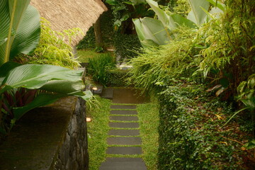 Harmonious walkway at a resort jungle retreat, featuring stone steps embedded in grass and surrounded by a natural landscape