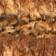 Seamless 4k photo material texture of disheveled fluffy brown fur.