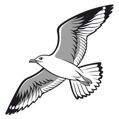 Professional seagull illustration isolated on white background