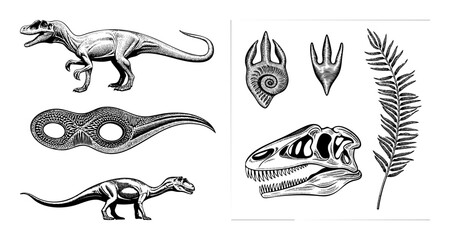 Vector Detailed vector illustrations of dinosaurs fossils and prehistoric flora.