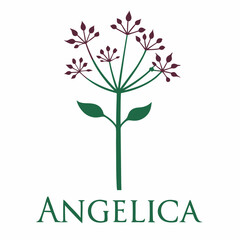 Angelica Herbal Plant Outline Icon – Modern Vector for Health & Nature